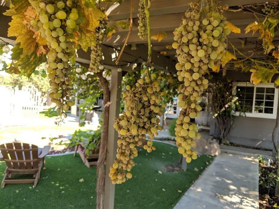 The Vineyard Farmhouse Villa Paso Robles Exteriér fotografie